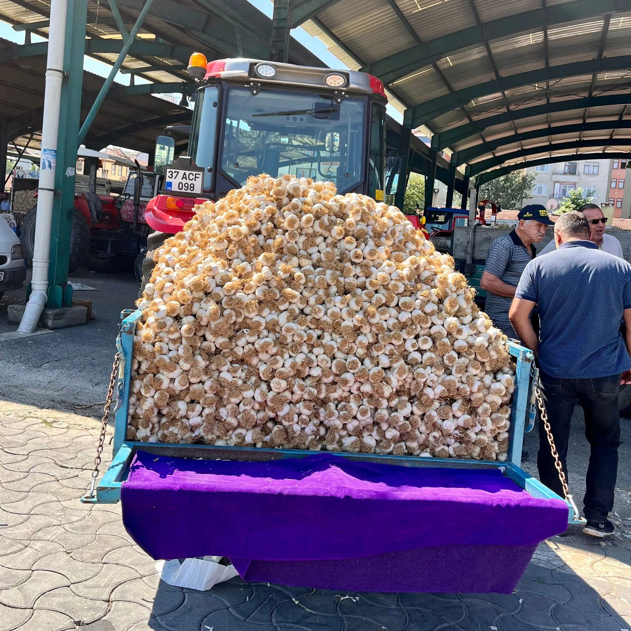 Üreticiler Taşköprü’de Kuyruklar Oluşturdu 30 Temmuz’da Sarımsak Ne Kadar (5)