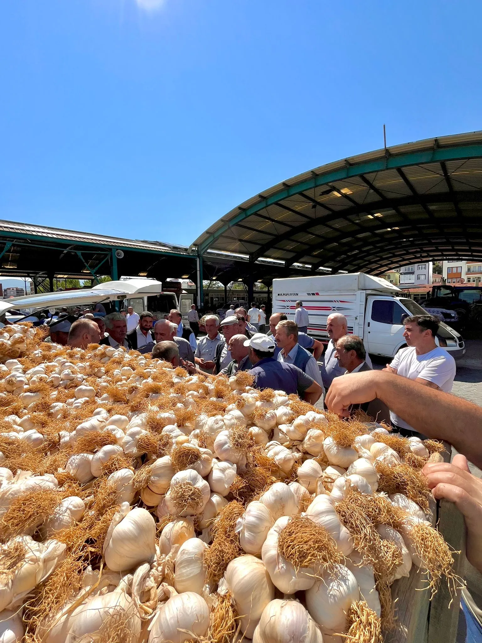 Üreticiler Taşköprü’de Kuyruklar Oluşturdu 30 Temmuz’da Sarımsak Ne Kadar (9)