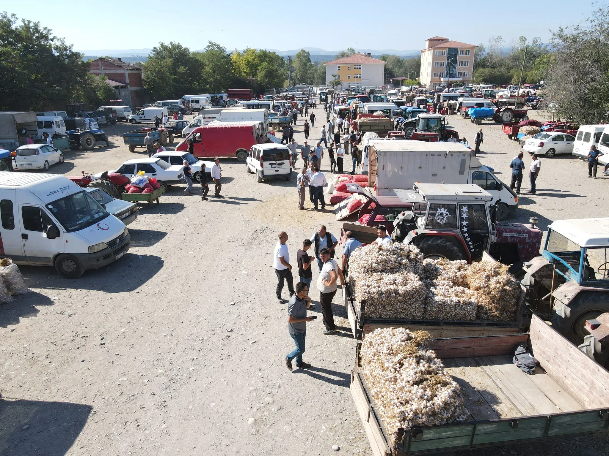 Germec Sarımsak Pazarı (2)