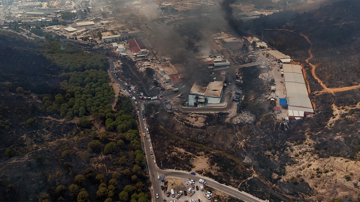 Izmir Orman Yangini Kastamonu Bakan Ibrahim Yumakli (1)