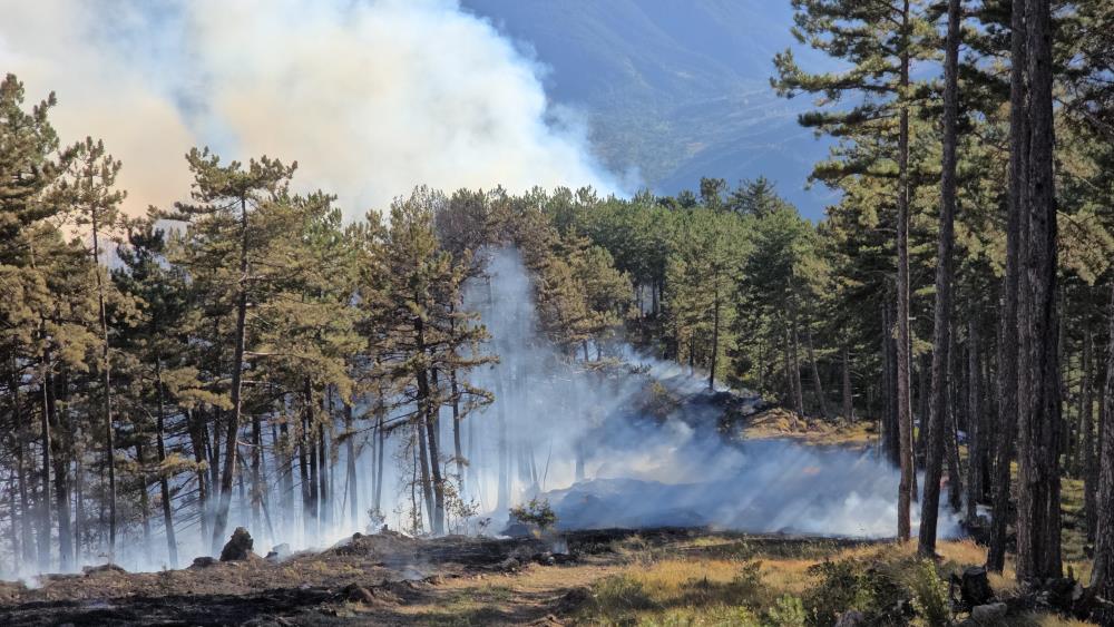 Karabuk Orman Yangini Komsu Kastamonu (1)