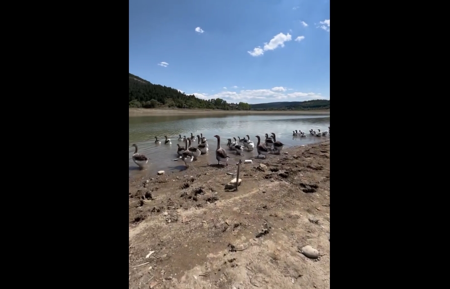 Kastamonu Balik Golet Taskopru (2)