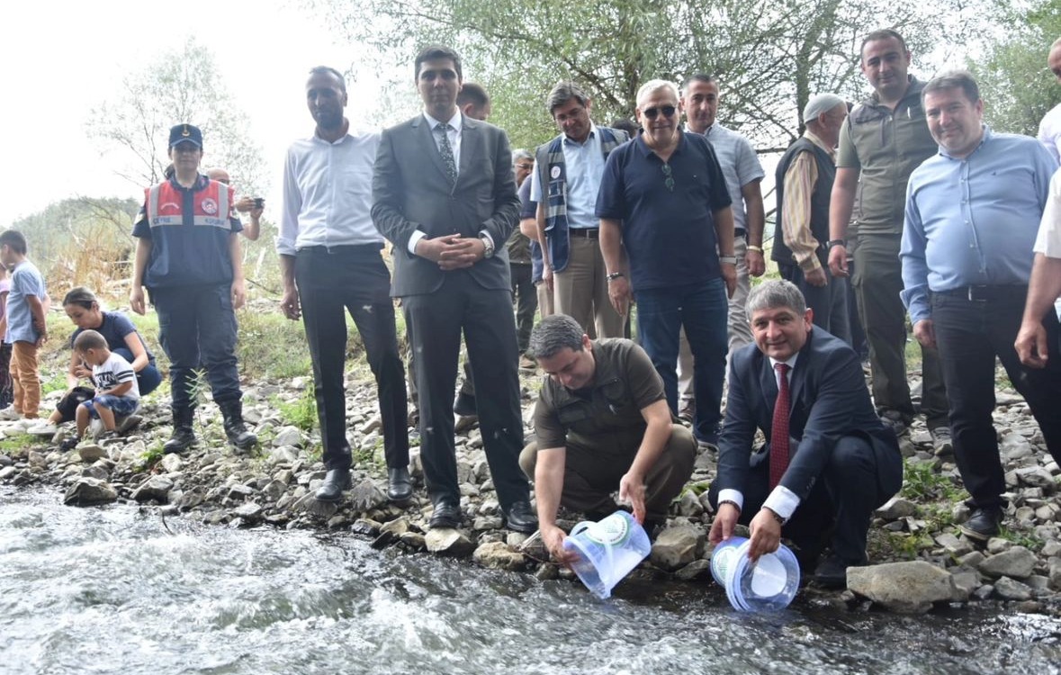 Kastamonu Devrekani Cayi Kirmizi Benekli Alabalik (2)