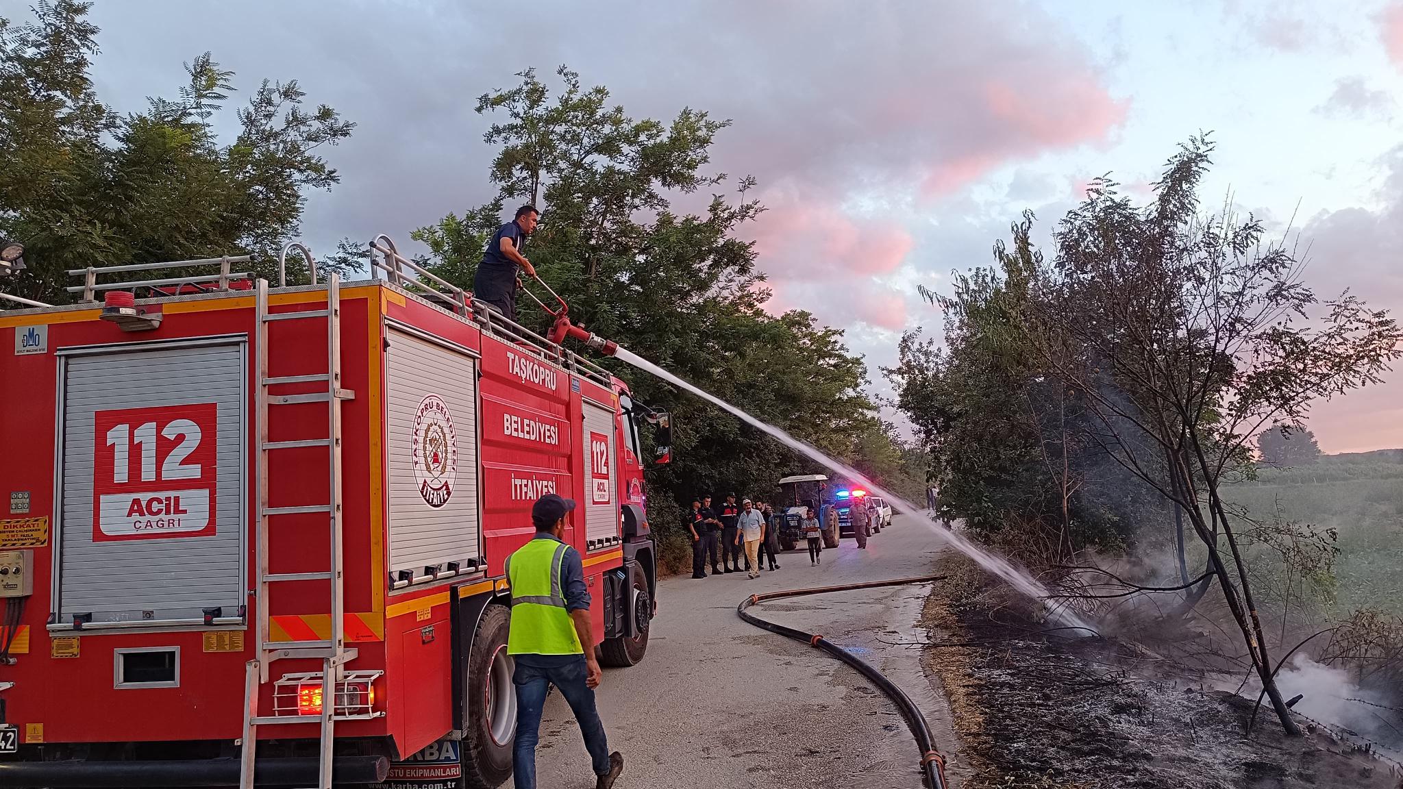 Kastamonu Taskopru Aniz Yangini (1)