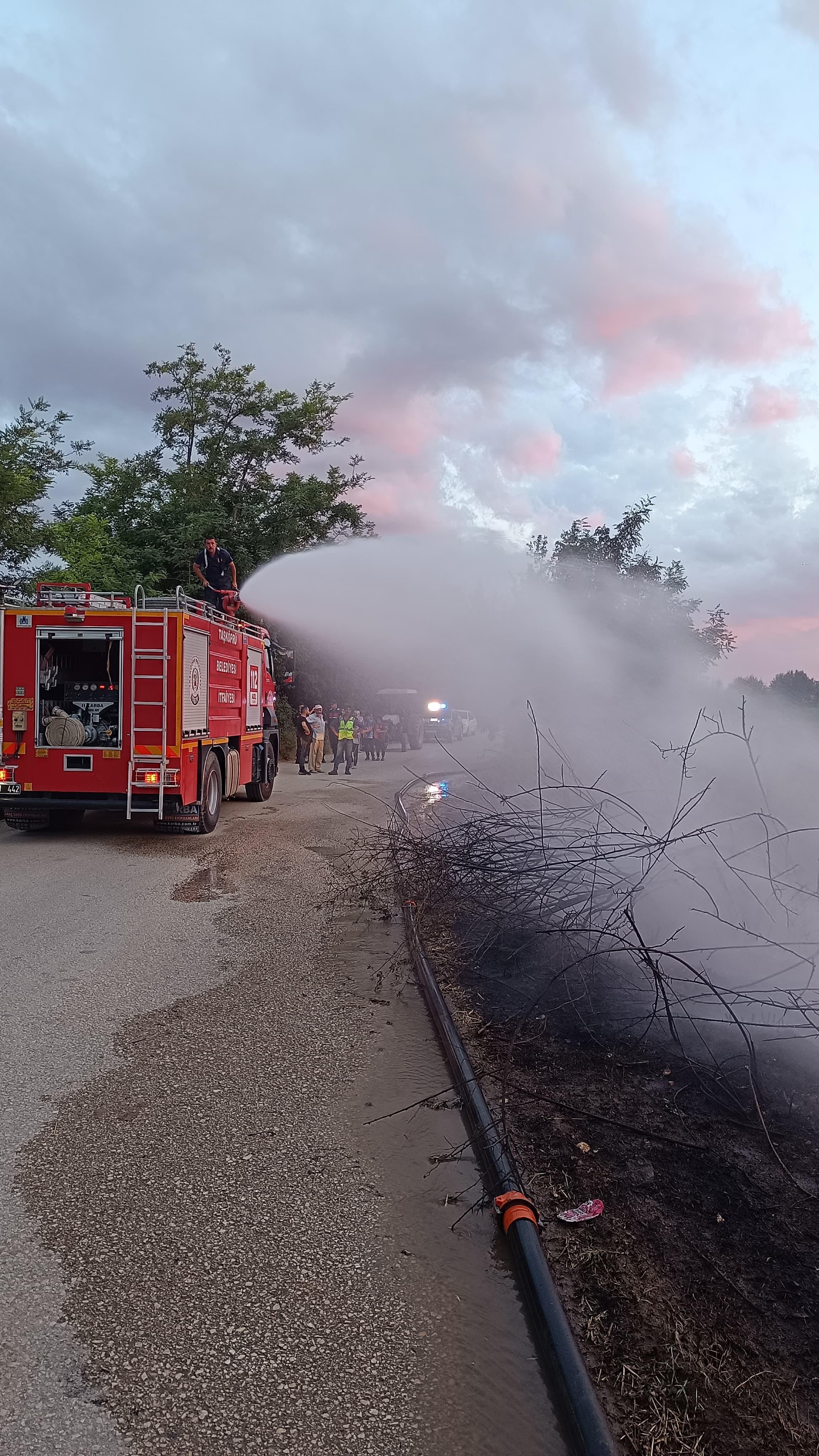 Kastamonu Taskopru Aniz Yangini (2)