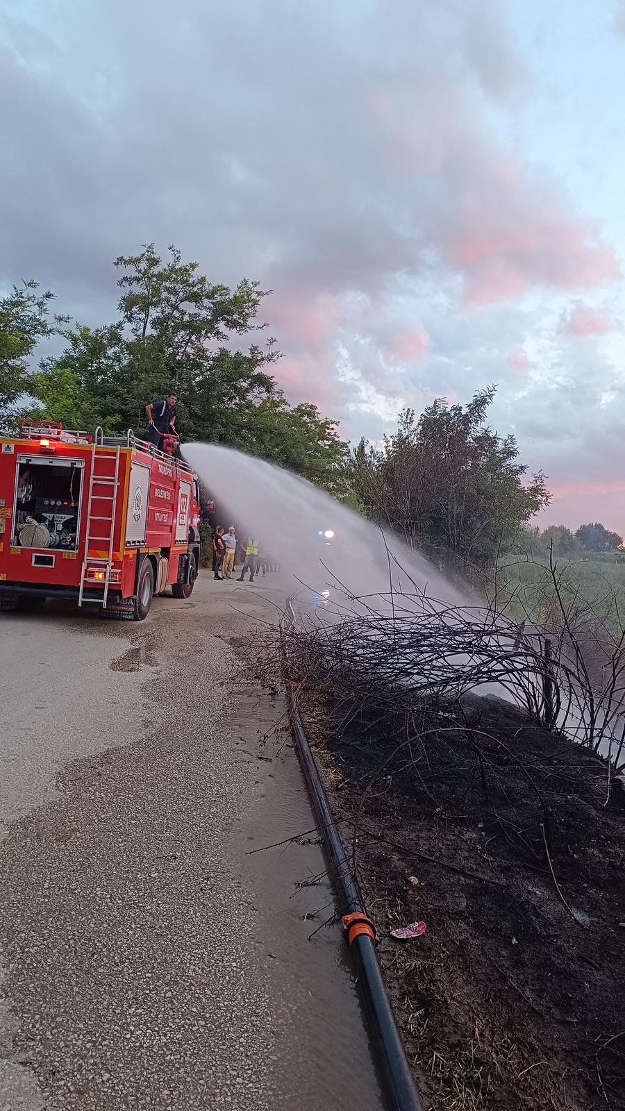 Kastamonu Taskopru Aniz Yangini (4)