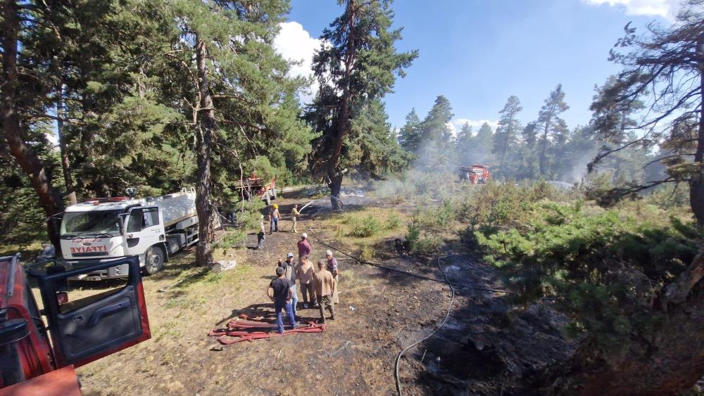 Kastamonu Taskopru Hanonu Orman Yangini (3)