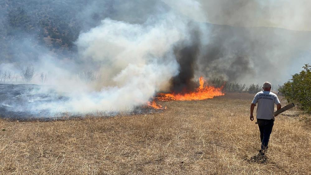 Kastamonu Tosya Aniz Yangini Itfaiye Tarla (1)