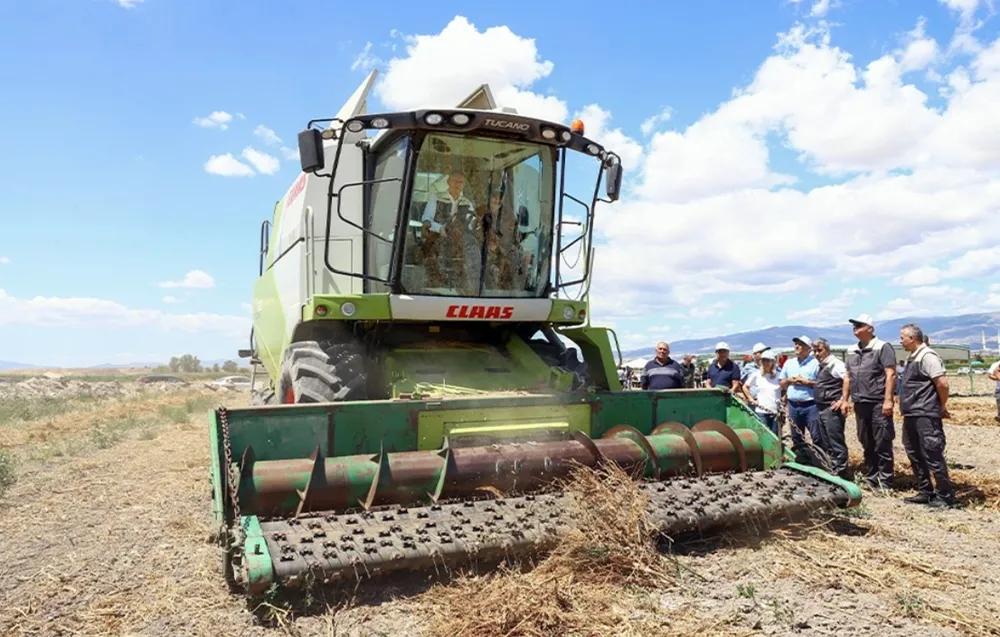 Kastamonu Üniversitesi'nden Dev Tarımsal Adım! O Bitkinin Tohumlarıyla Dışa Bağımlılığa Son! 3