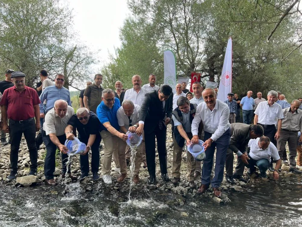 Kastamonu’da Binlerce Alabalık Devrekani Çayı'na Salındı (1)