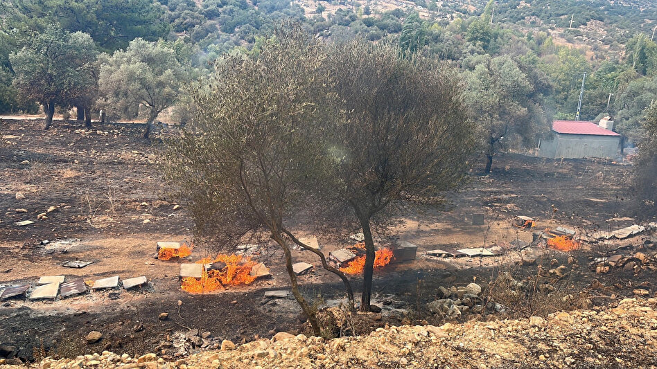 Mugla Orman Yangini Kastamonu Bakan Ibrahim Yumakli (1)