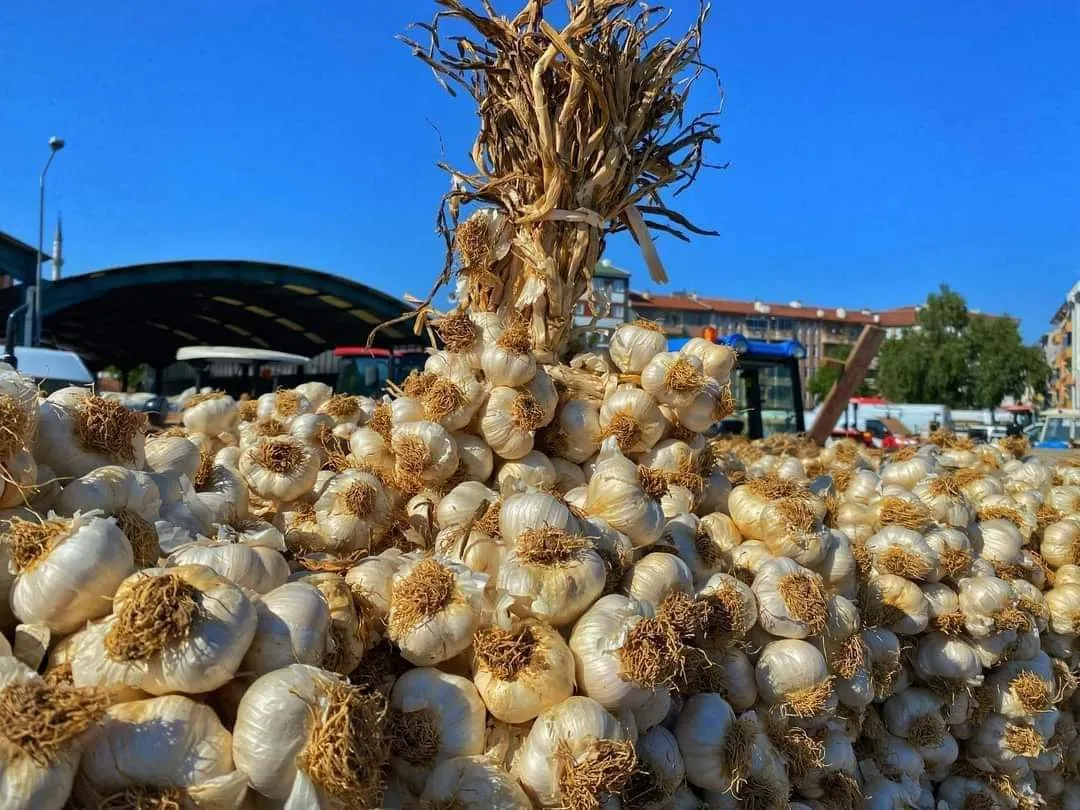 Taşköprü Sarımsağı Ve Limonun Mucizesi Kansere Karşı Savaşıyorlar! (3)