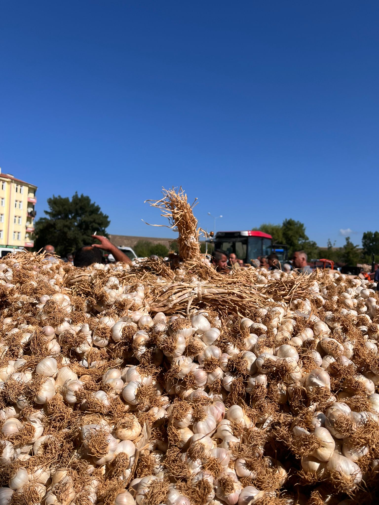 Taskopru Sarimsak Pazari Kastamonu (1)