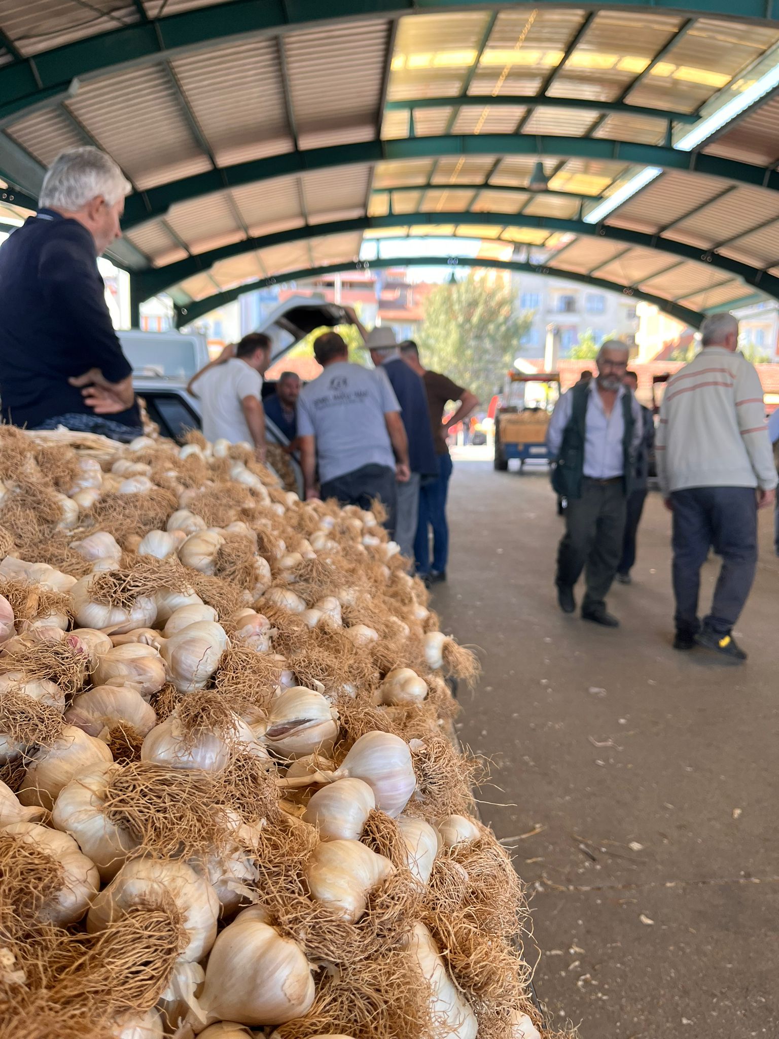 Taskopru Sarimsak Pazari Kastamonu (5)