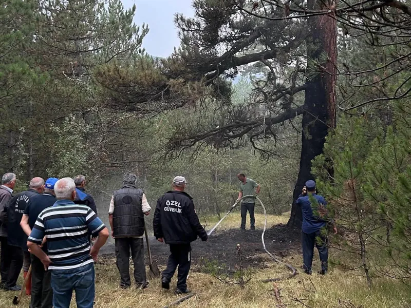 Taşköprü'deki Yangın Sonrası Milletvekili Uluay'dan Köylülere Tebrik 'Sağ Olsunlar, Var Olsunlar'-1