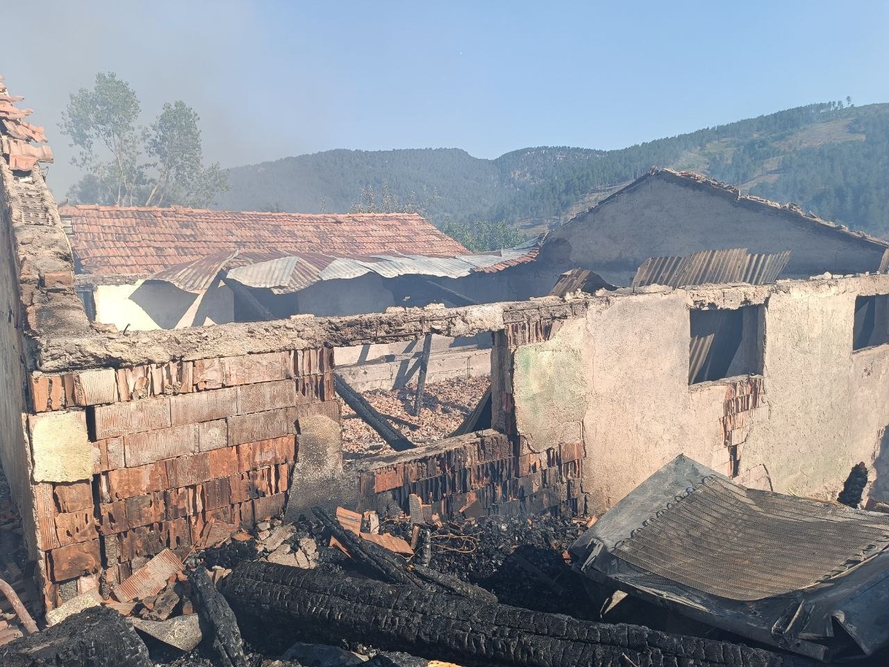 Tosya Kastamonu Burnuk Koyu Yangin (10)