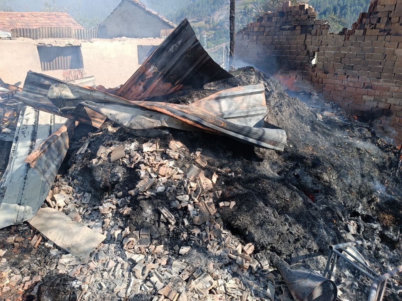 Tosya Kastamonu Burnuk Koyu Yangin (9)