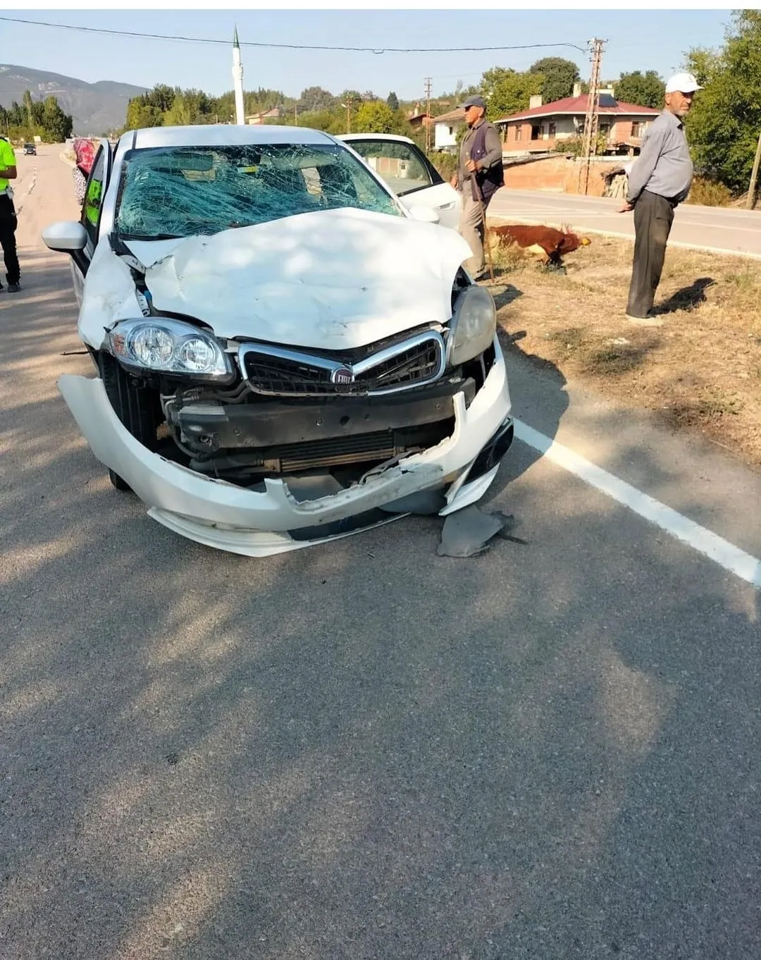 Yürekleri Ağıza Getiren Kaza Otomobil Ineğe Çarptı 2 Kişi Yaralandı! (3)