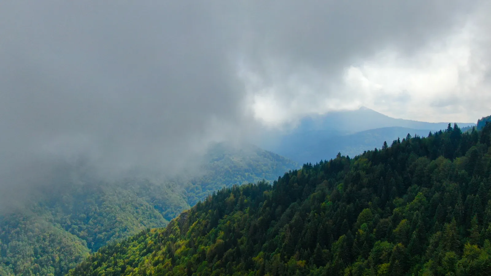 Doğa Ve Sis Kastamonu’da Buluştu! 1