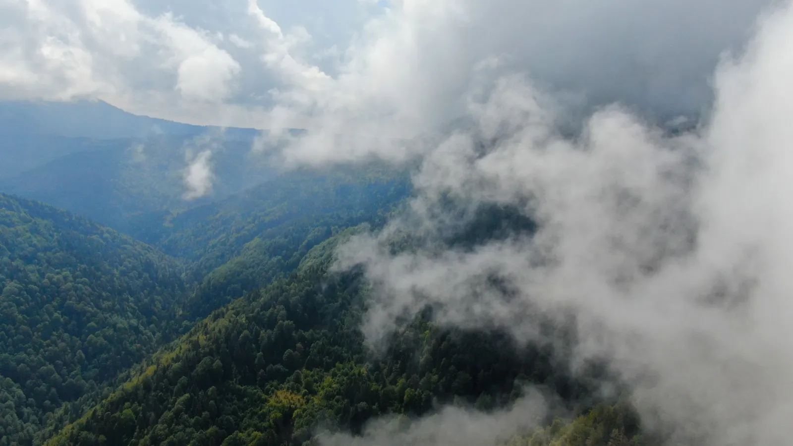 Doğa Ve Sis Kastamonu’da Buluştu!