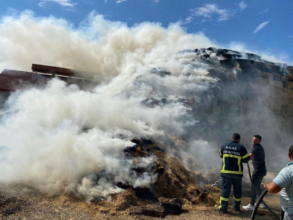 Ilgaz Cankiri Yangin Saman Balyasi (2)