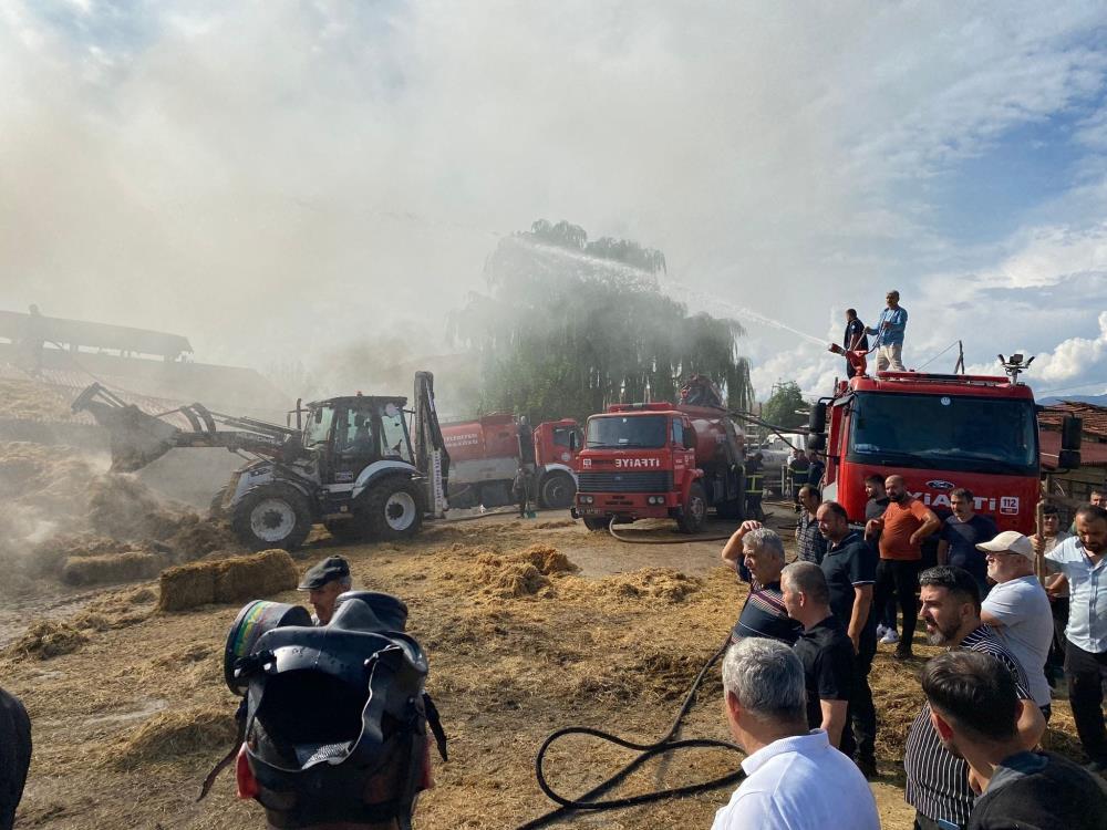 Ilgaz Cankiri Yangin Saman Balyasi (3)