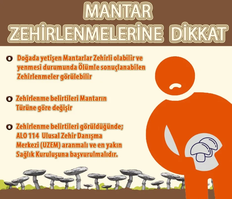 Kastamonu İl Sağlık Müdürü Uyardı 'Mantar Zehirlenmelerine Dikkat' 1