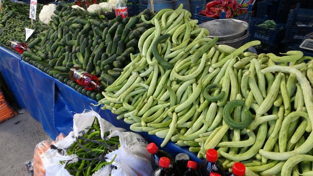 Kastamonu Kornison Salatalik Tursu 5