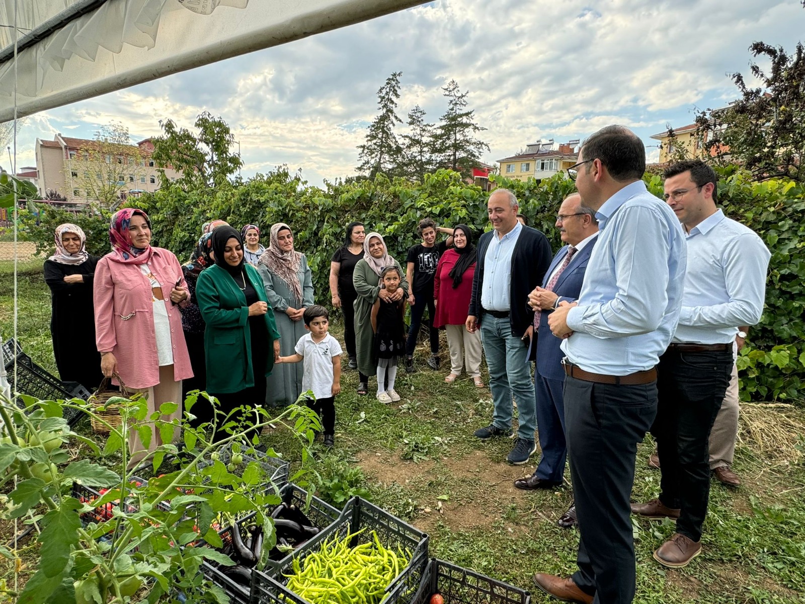 Kastamonu Taskopru Fide Hasat (11)