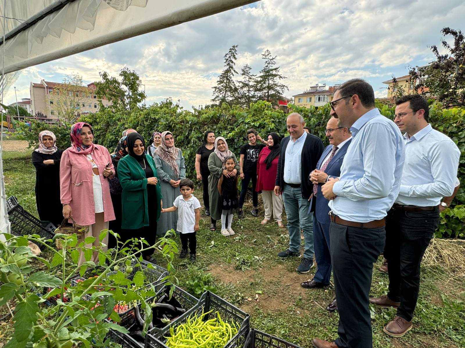 Kastamonu Taskopru Fide Hasat (3)