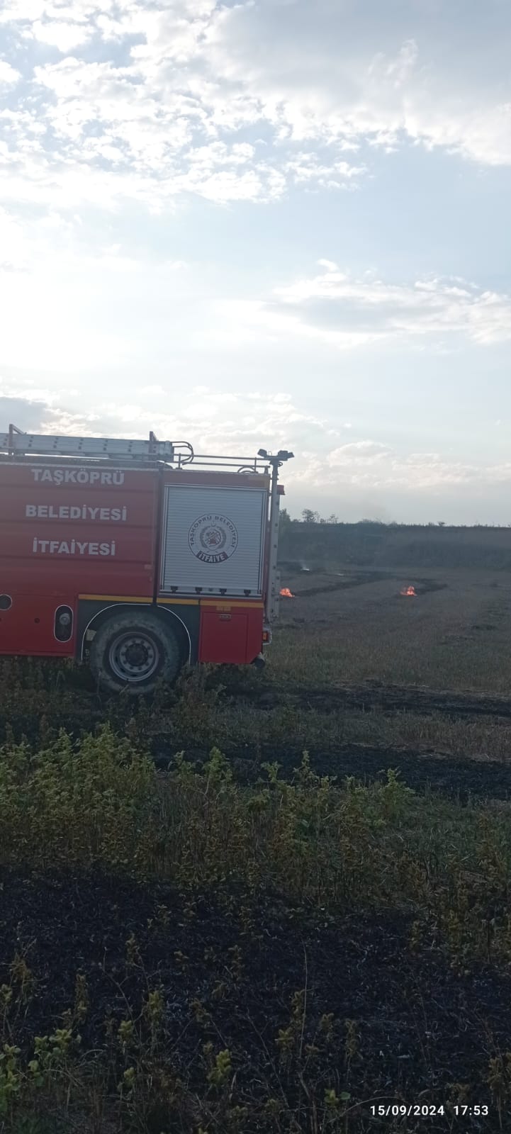 Kastamonu Yangın Taskopru Aniz Atesi (2)