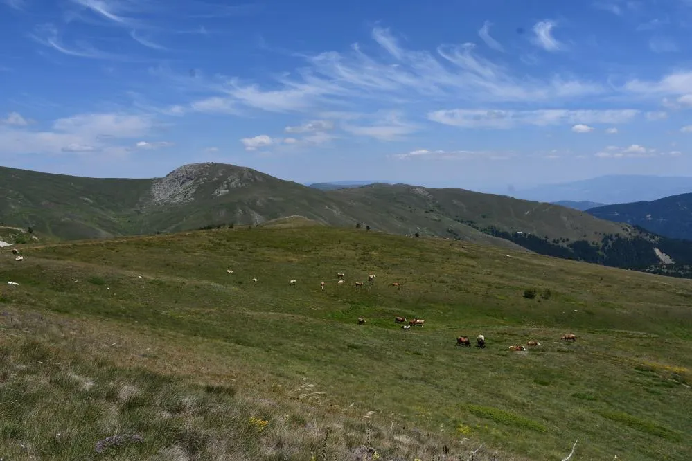 Kastamonu’daki Yaylalar, Güzelliği Ile Mest Etmeye Devam Ediyor (5)