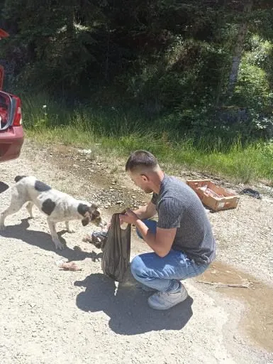 Kastamonu'yu Karış Karış Geziyor Sokak Hayvanlarına Yiyecek Ulaştırıyor! 1