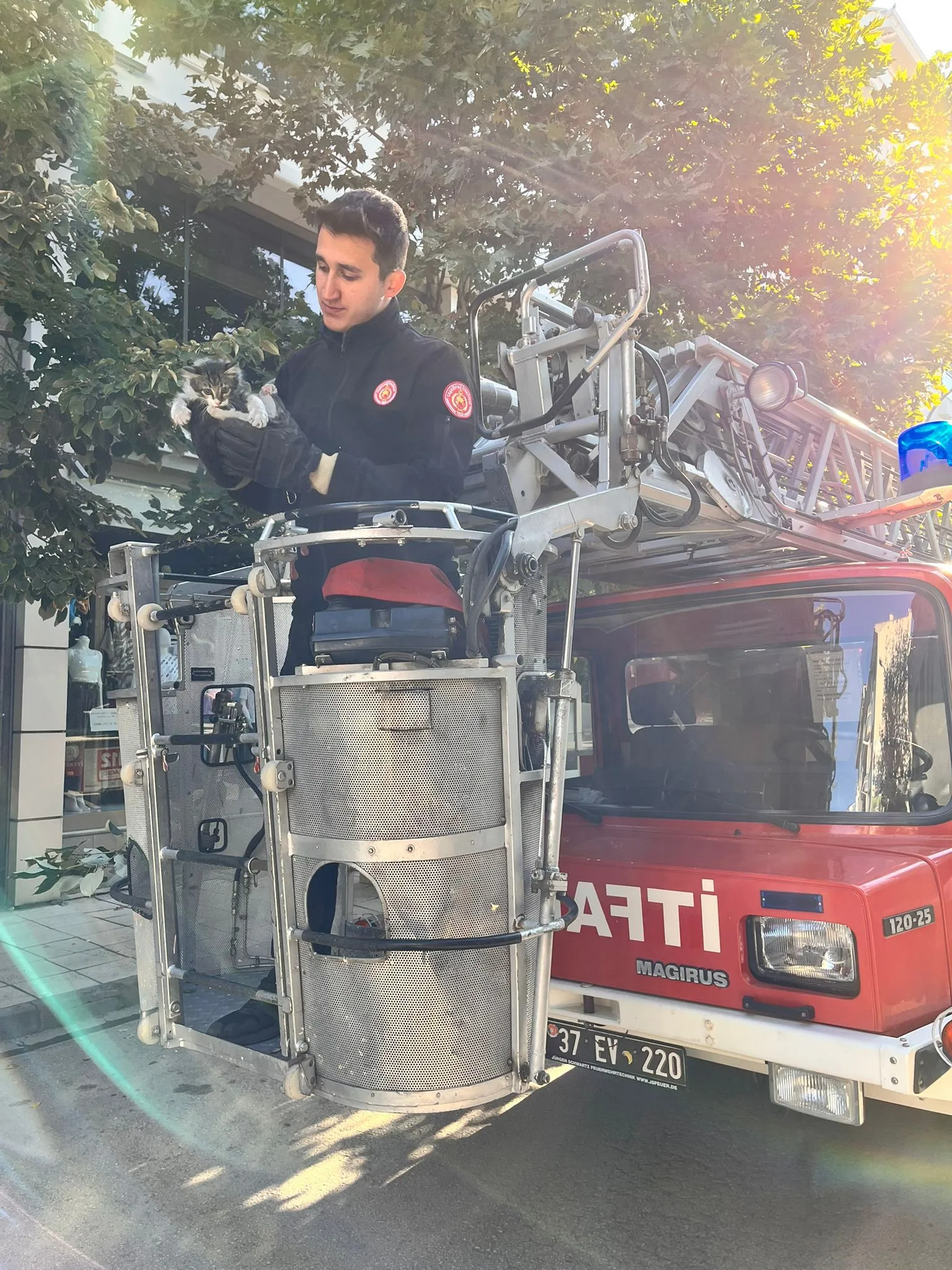 Taşköprü’de Ağaçta Mahsur Kalan Yavru Kedi Kurtarıldı