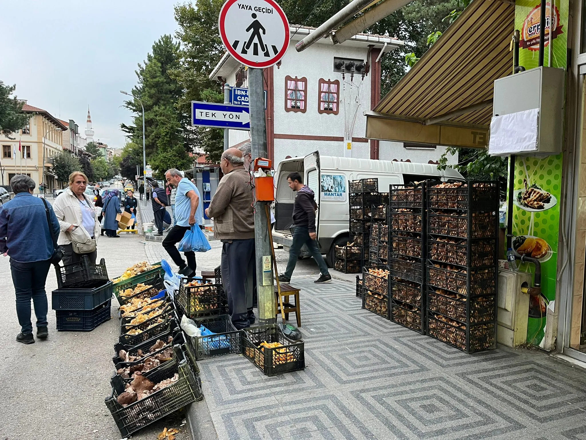 Taşköprü'de Hareketlilik Kanlıca Mantarı'nda Rekor Artış! 4