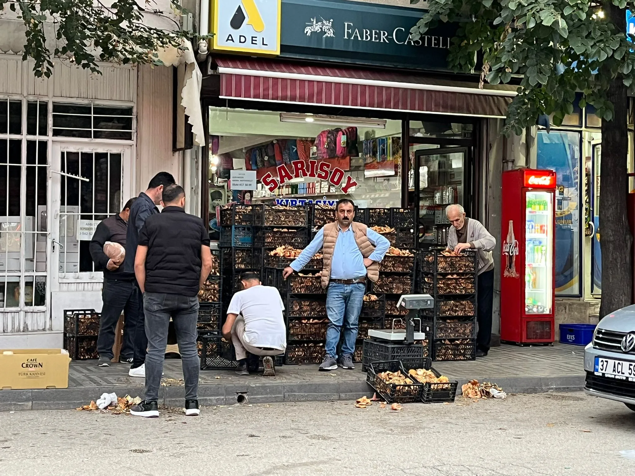 Taşköprü'de Hareketlilik Kanlıca Mantarı'nda Rekor Artış! 5