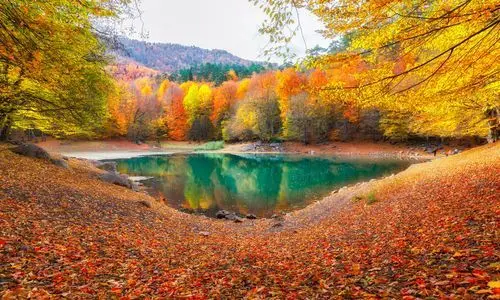 Yedigoller Bolu