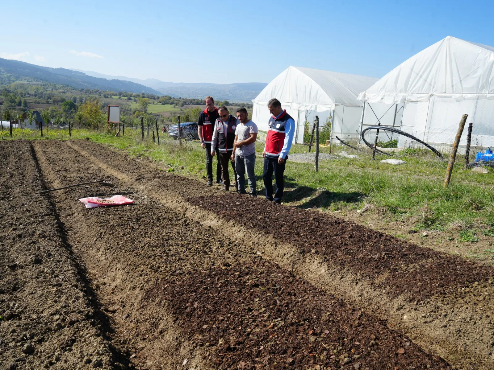 Doğada Toplanması Yasak Kastamonu'da 12 Dekar Alanda Dikim Başladı 10