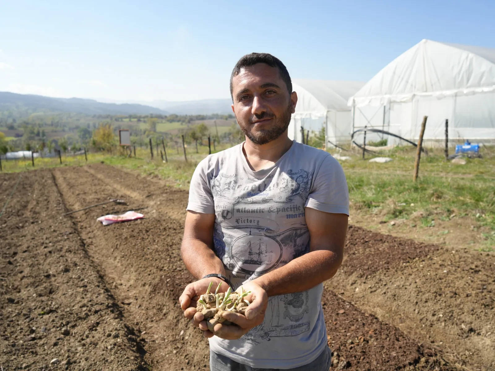 Doğada Toplanması Yasak Kastamonu'da 12 Dekar Alanda Dikim Başladı 4