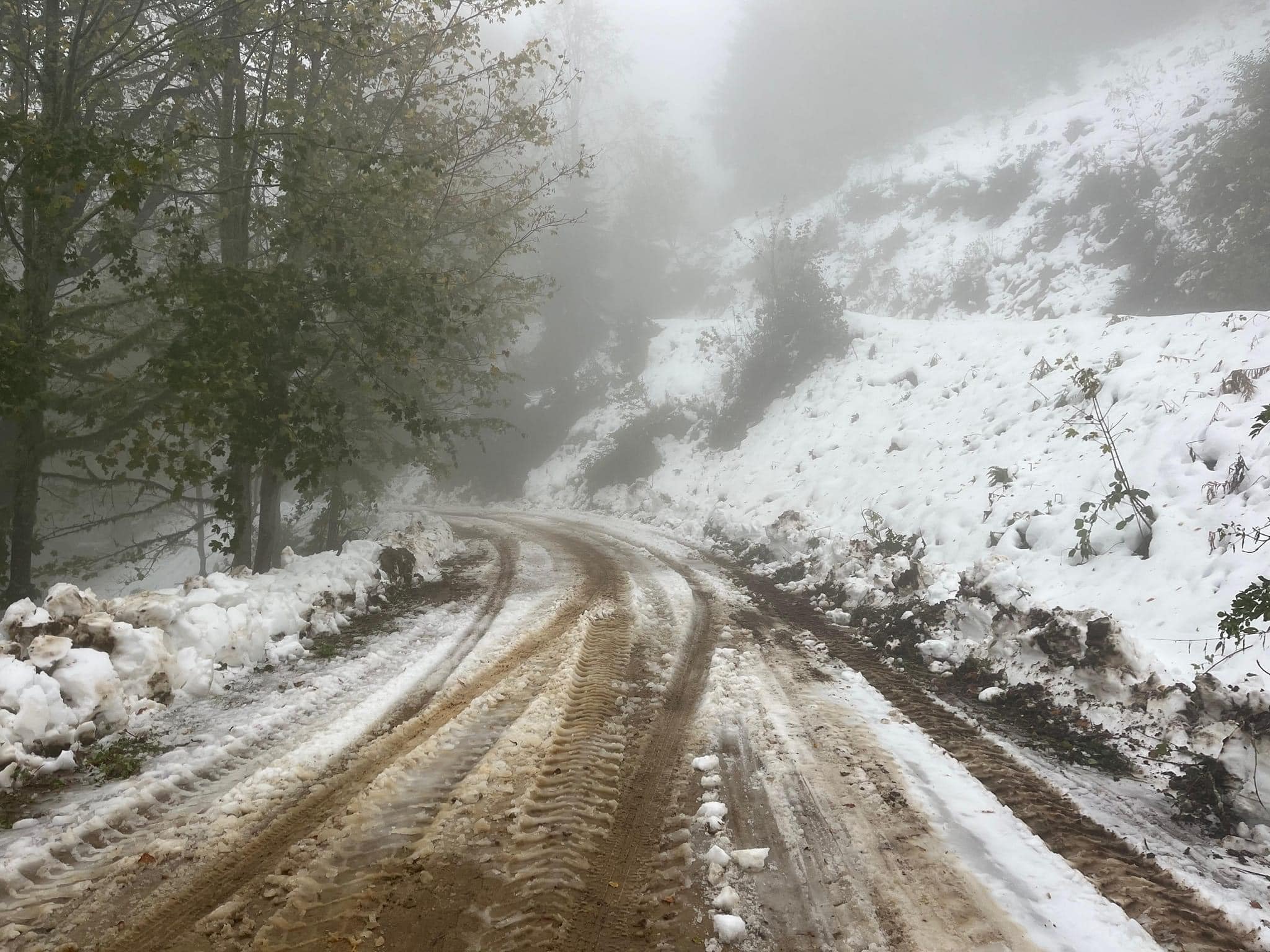 Kastamonu Da Karla Mücadele (4)