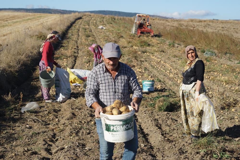 Kastamonu Devrekani Hanonu Patates (6)