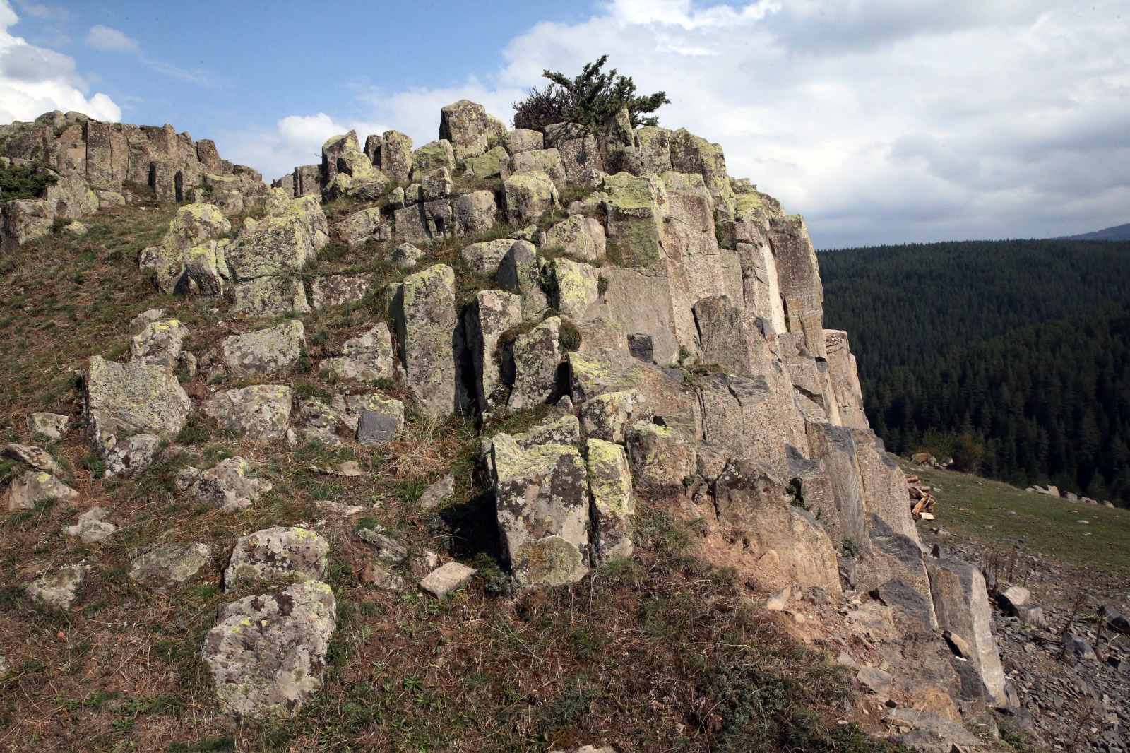 Kastamonu Kaya Bazalt Ahlat (3)