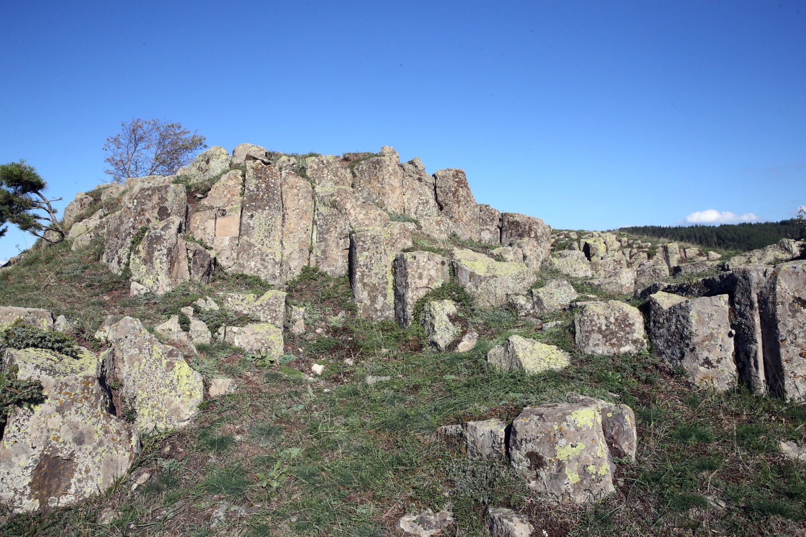 Kastamonu Kaya Bazalt Ahlat (6)