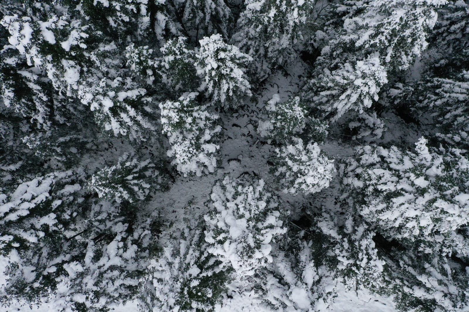 Kastamonu Kış Kar Manzarası (2)