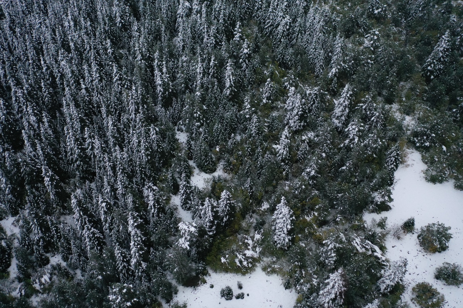 Kastamonu Kış Kar Manzarası (8)