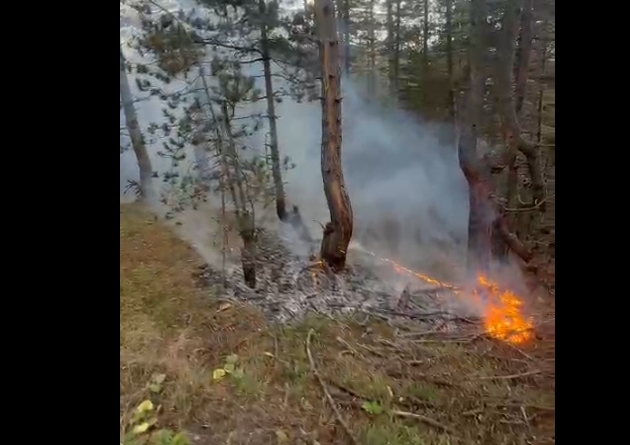 Kastamonu Taskopru Alasoku Koyu (1)