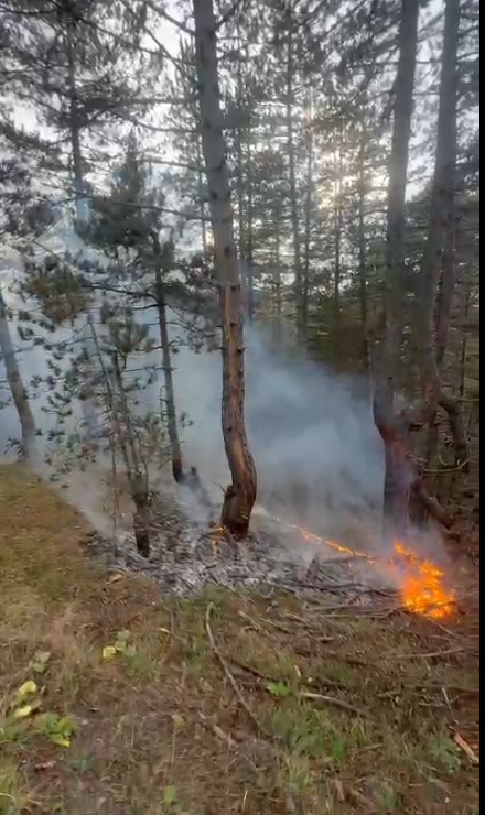 Kastamonu Taskopru Alasoku Koyu (3)