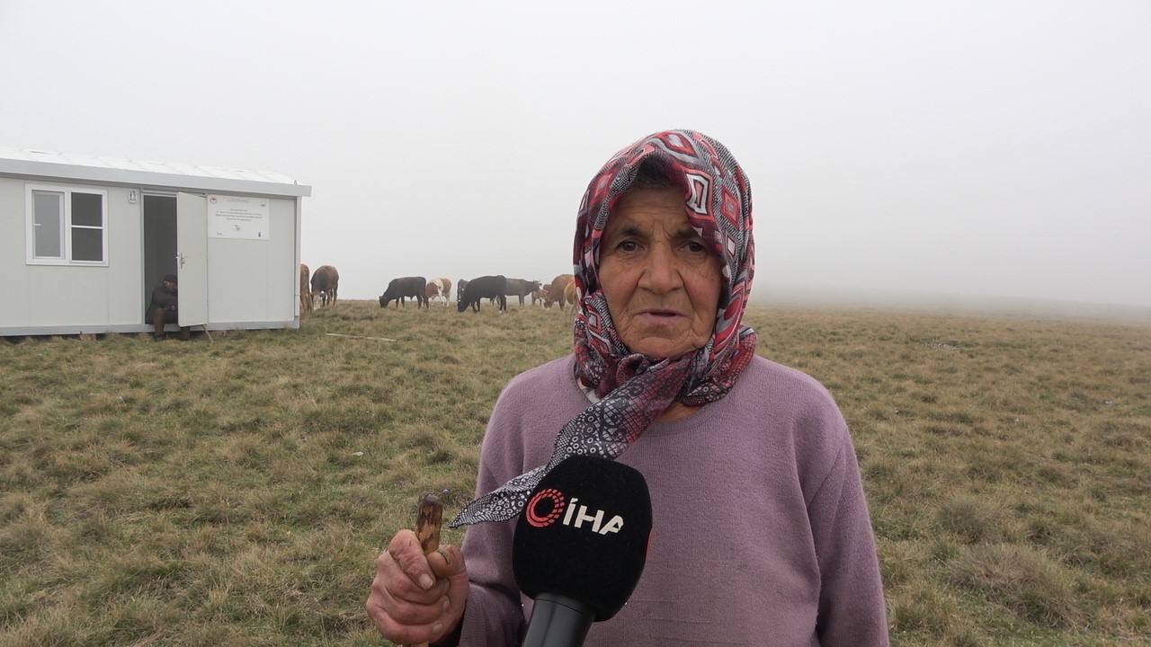 Kastamonu Yayla Turizmi Cobanlar (1)