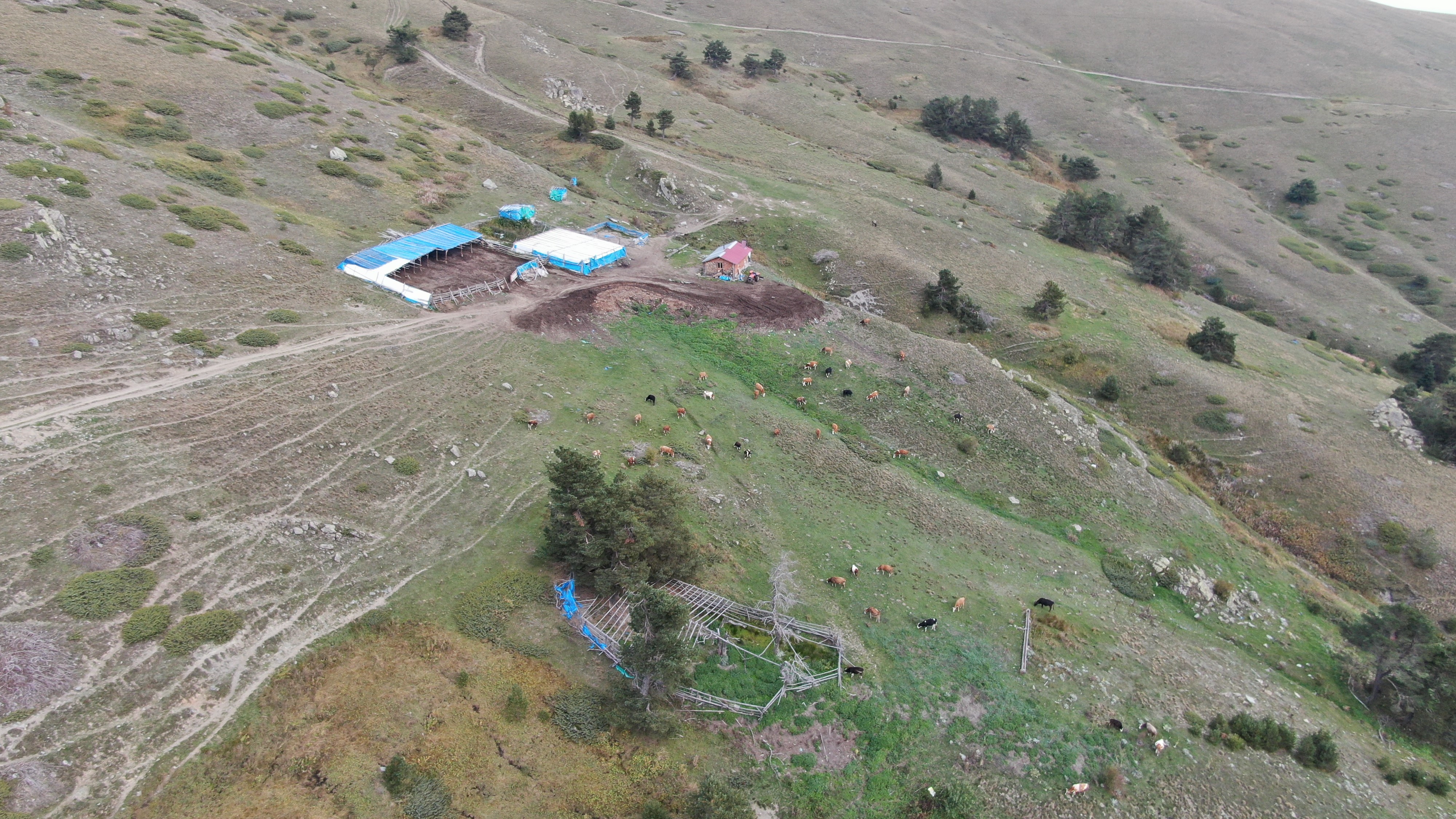 Kastamonu Yayla Turizmi Cobanlar (6)