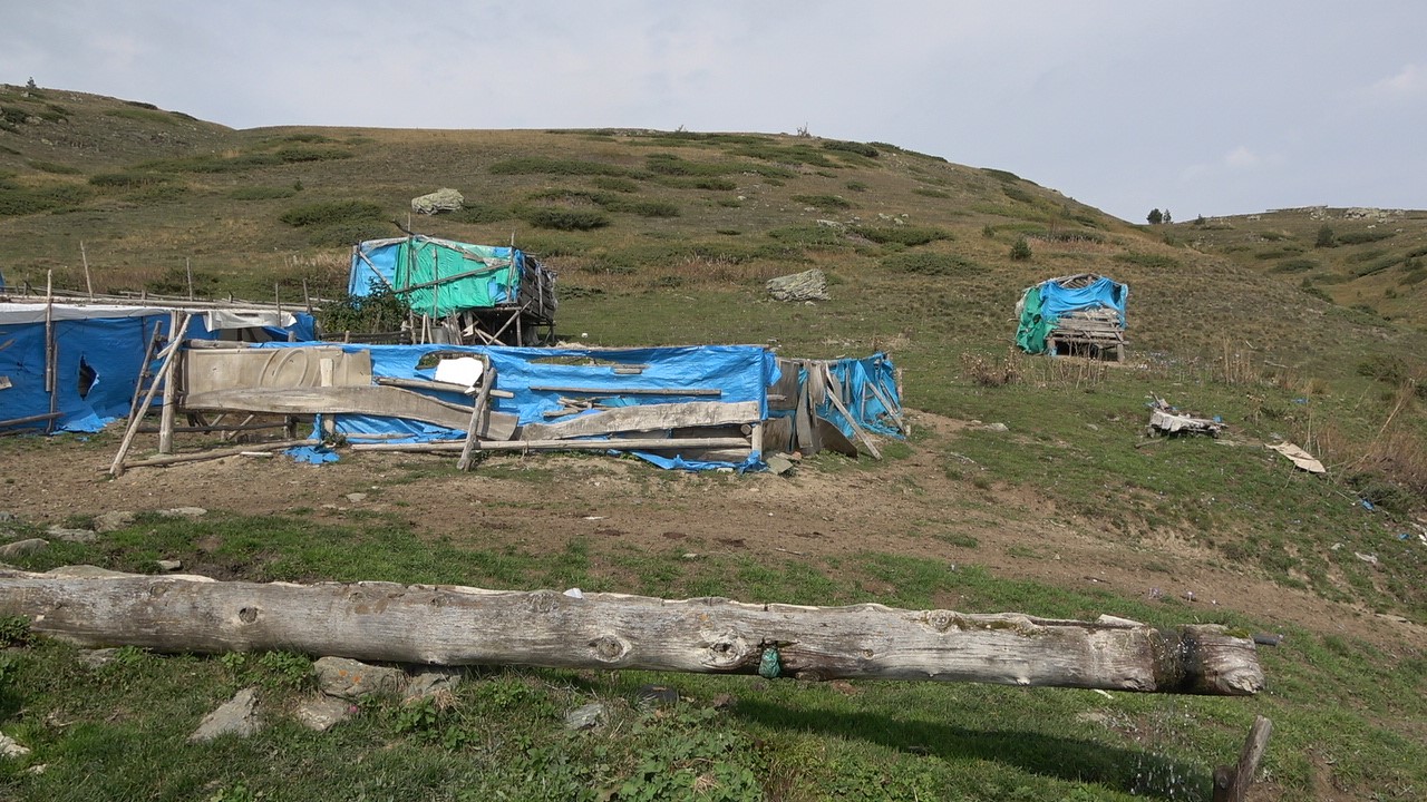 Kastamonu Yayla Turizmi Cobanlar (7)